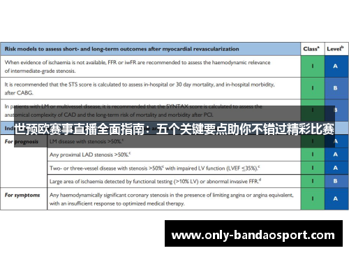 世预欧赛事直播全面指南：五个关键要点助你不错过精彩比赛