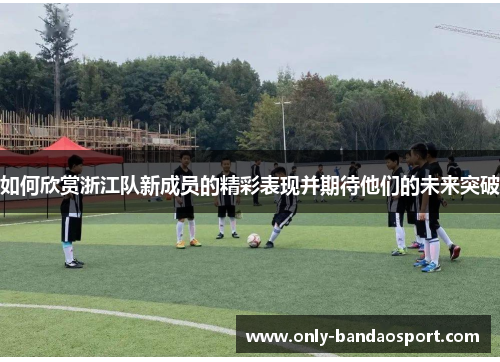 如何欣赏浙江队新成员的精彩表现并期待他们的未来突破