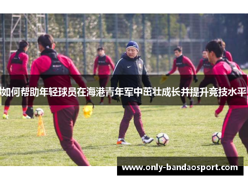 如何帮助年轻球员在海港青年军中茁壮成长并提升竞技水平
