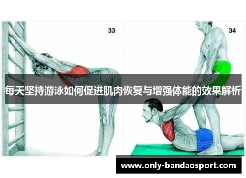 每天坚持游泳如何促进肌肉恢复与增强体能的效果解析