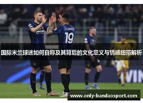 国际米兰球迷如何自称及其背后的文化意义与情感纽带解析